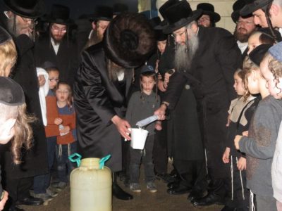 חג הפסח בחסידות פיטסבורג. צילום: ש. וייסנשטרן