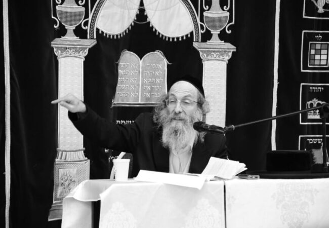 רבי אלימלך בידרמן. צילום: יוסי לוי