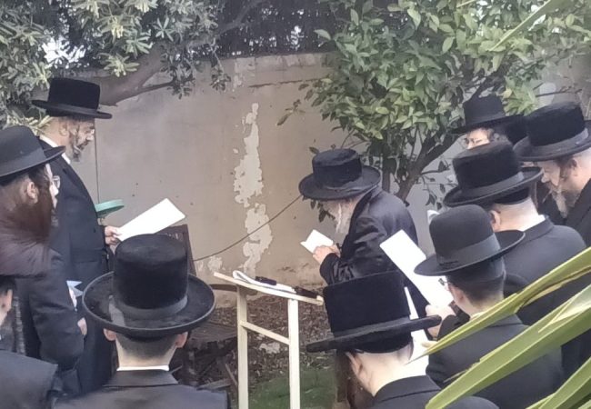 42d18e35-7762-402a-b4f6-6c43c1cf8e00