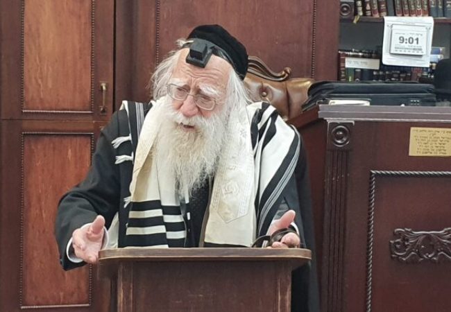 הגאון רבי אברהם אלטמן. צילום: אהרון מיכאלי