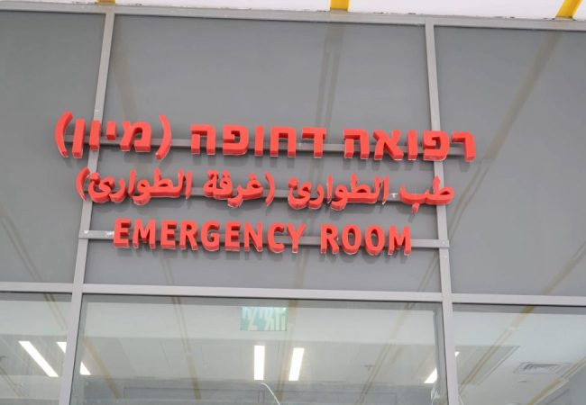 צילום: אסותא אשדוד