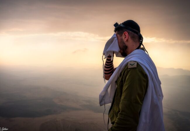 קרדיט: מיקי שפיצר