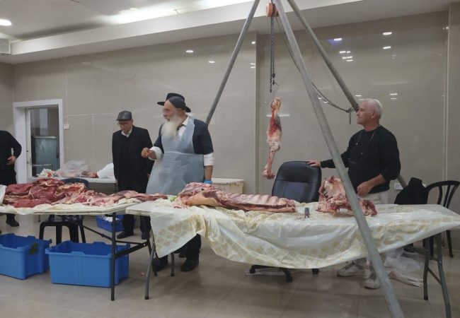 הגר"י בן דוד מראה ללומדים את חלקי הבשר בהם יש חשש של 'חֵלֶב ודאי' בשיעור שהתקיים לפני כשלושה חודשים בקרית עקרון.