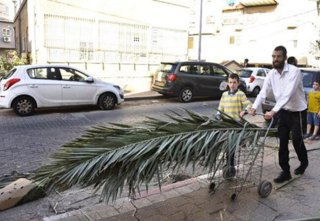 אילוסטרציה. קרדיט: שוקי לרר