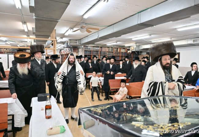צילום: יהושע פרוכטר