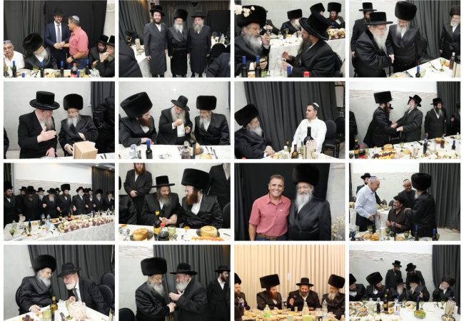 collage_export_5908D0DB-58E5-4AB1-88A6-D40F592A0C47