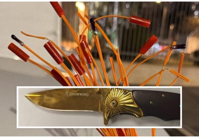 collage_export_608A0EA2-BE3D-4A09-9A6A-C23F99E40F81