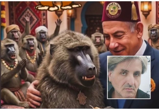 collage_export_61B4D0B6-3F64-47B0-96C2-32C61D66406A