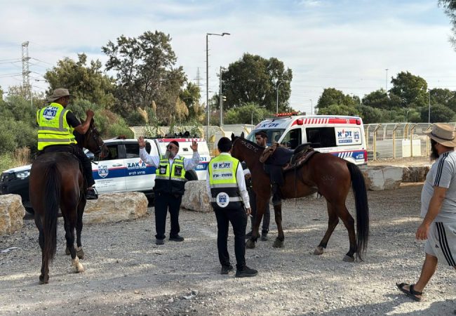 איחור נעדר באשדוד. צילום: דוברות זק״א